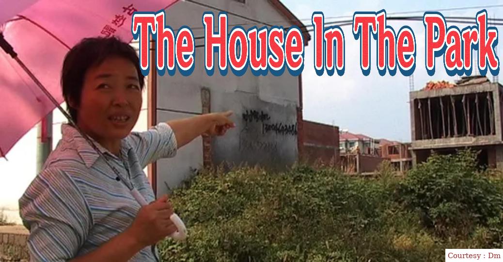 The House In The Park