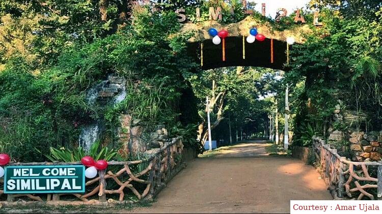 The hunters killed the forest department official.