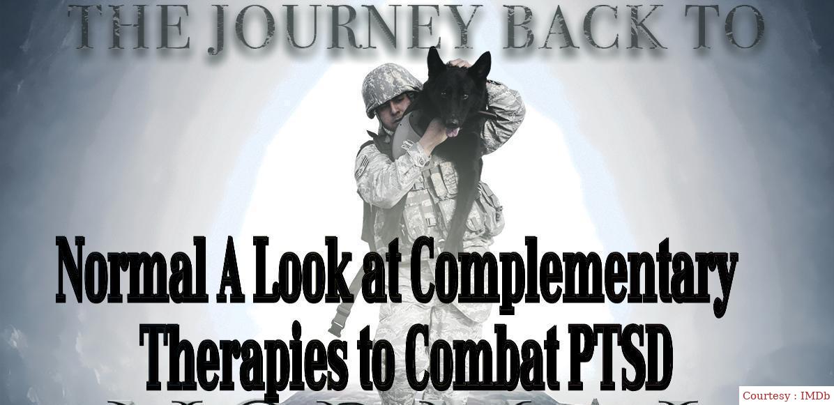 Watch Free  The Journey Back to Normal A Look at Complementary Therapies to Combat PTSD Full Movie Online