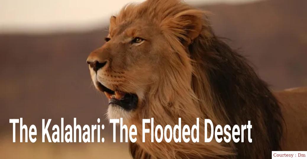 The Kalahari: The Flooded Desert