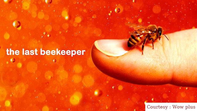 The Last Beekeeper 