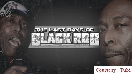 Watch Free  The Last Days of Black Rob Full Movie Online