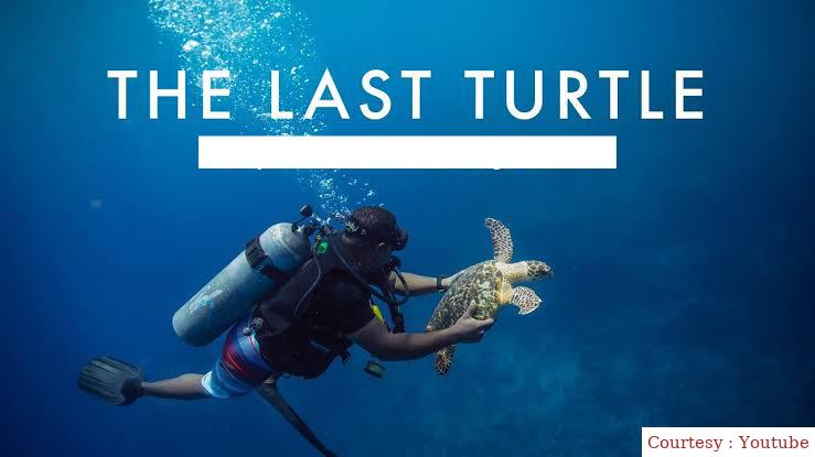 The Last Turtle