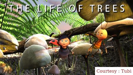 The Life of Trees 