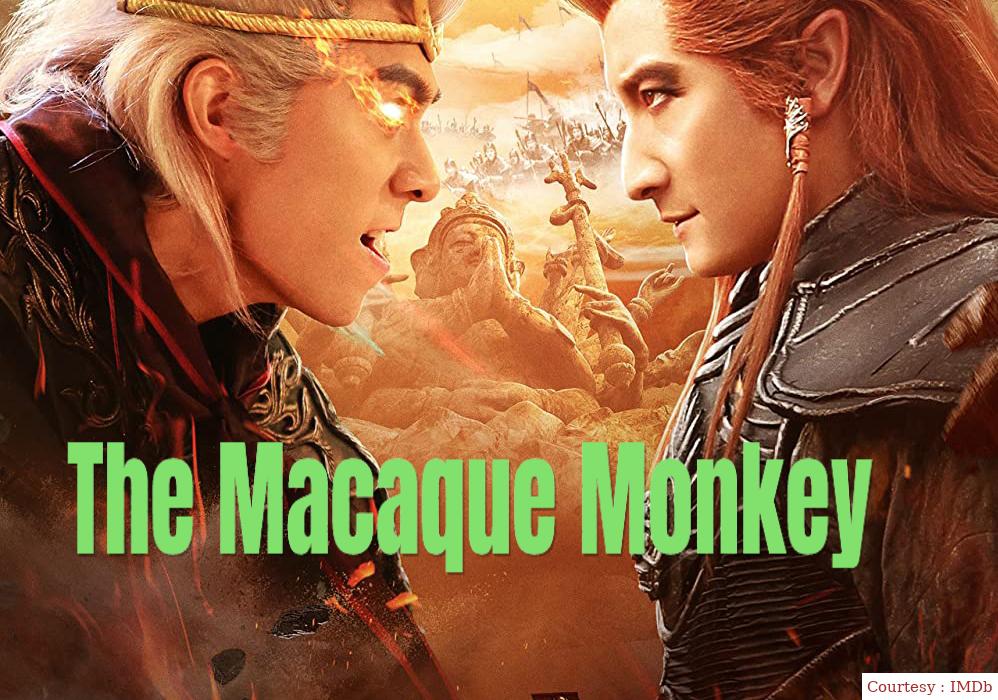 The Macaque Monkey