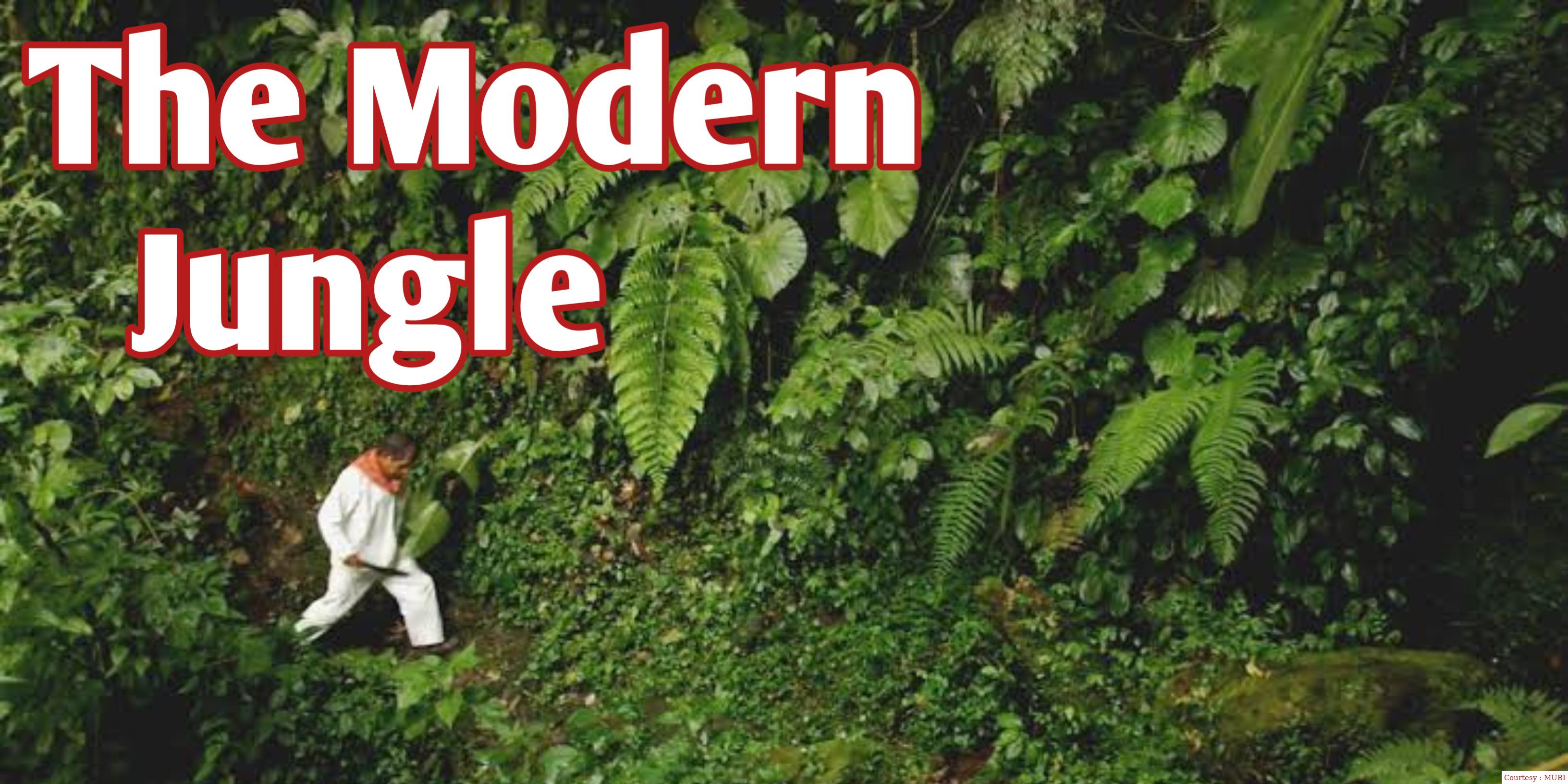 Watch Free  The Modern Jungle Full Movie Online