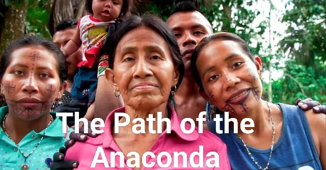 The Path of the Anaconda 