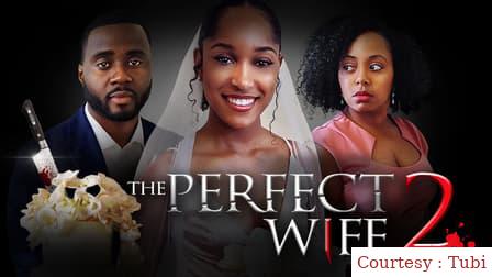 The Perfect Wife 2