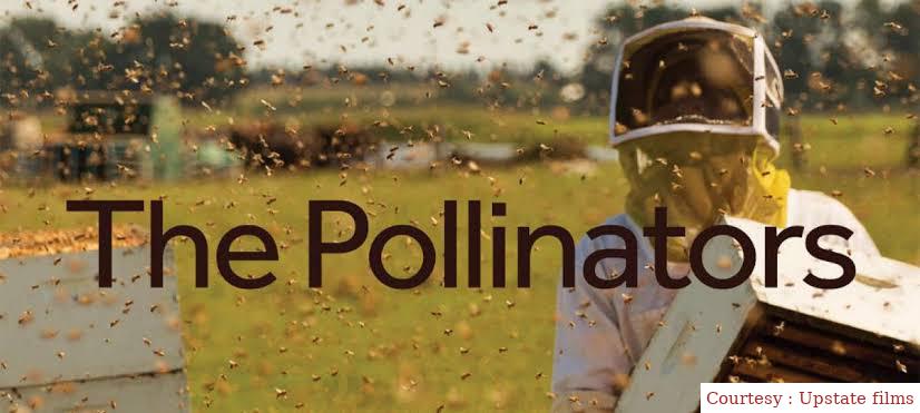 Watch Free  The Pollinators Full Movie Online