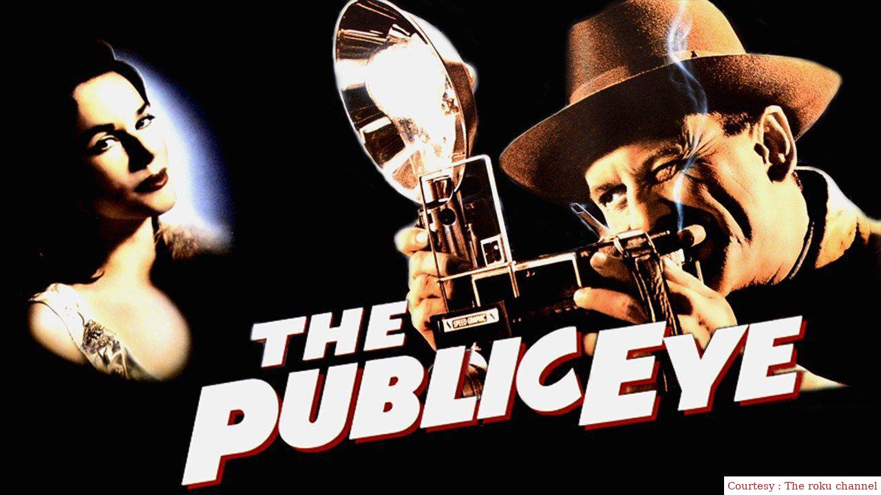 Watch Free  The Public Eye Full Movie Online