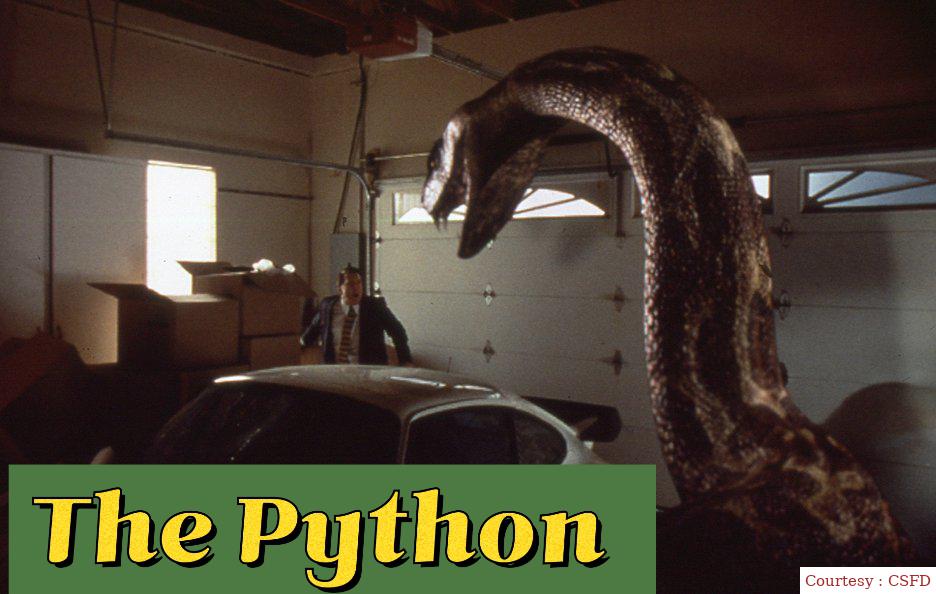 Watch Free  The Python Full Movie Online