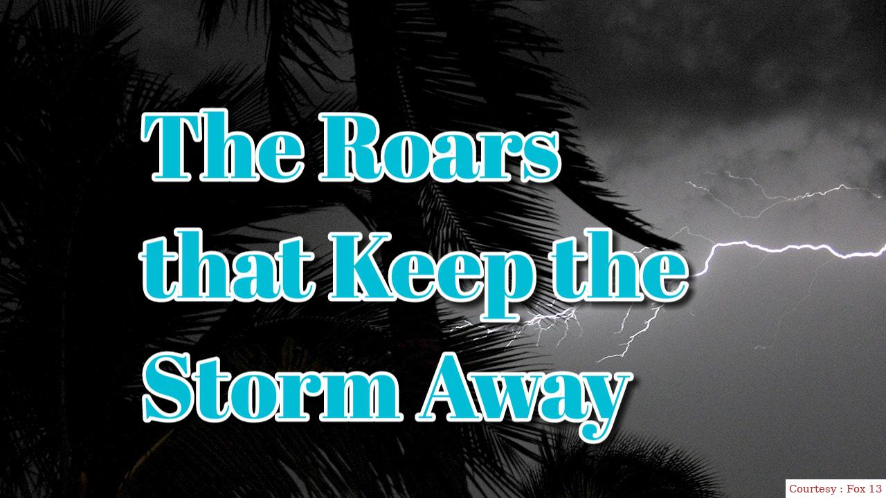 The Roars that Keep the Storm Away