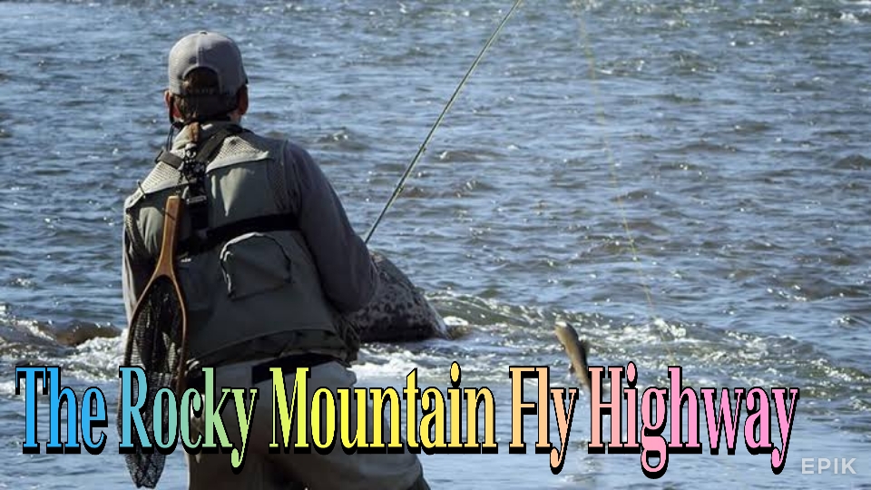 Watch Free The Rocky Mountain Fly Highway Full Movie Online