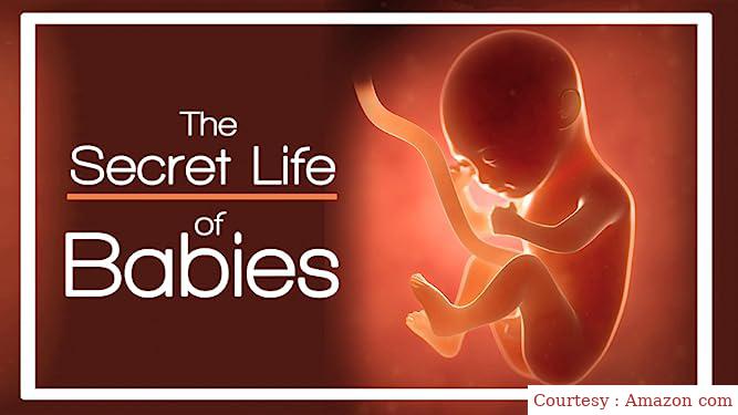 The Secret Life of Babies