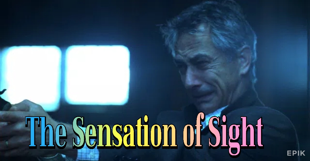 Watch Free The Sensation of Sight Full Movie Online