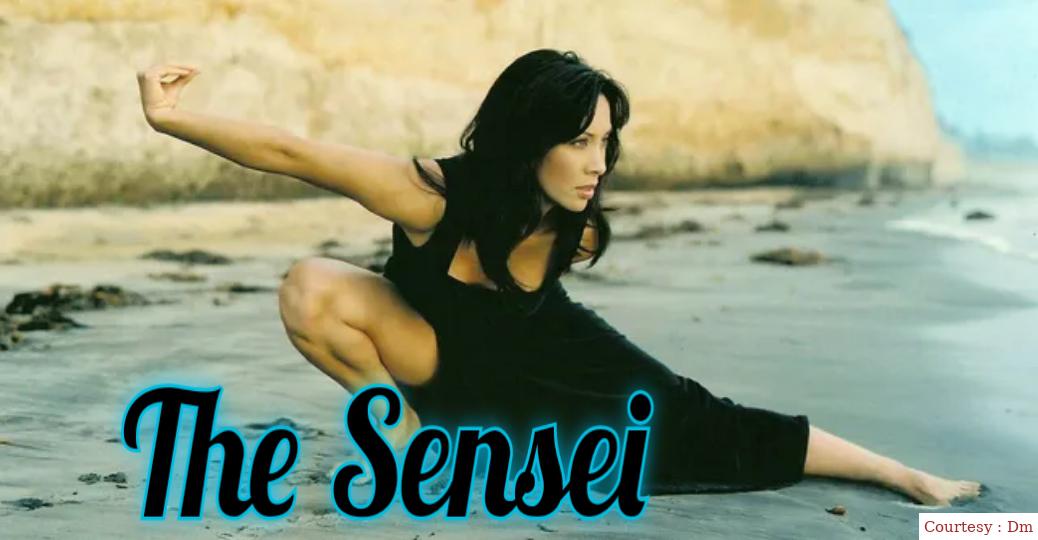 Watch Free  The Sensei Full Movie Online