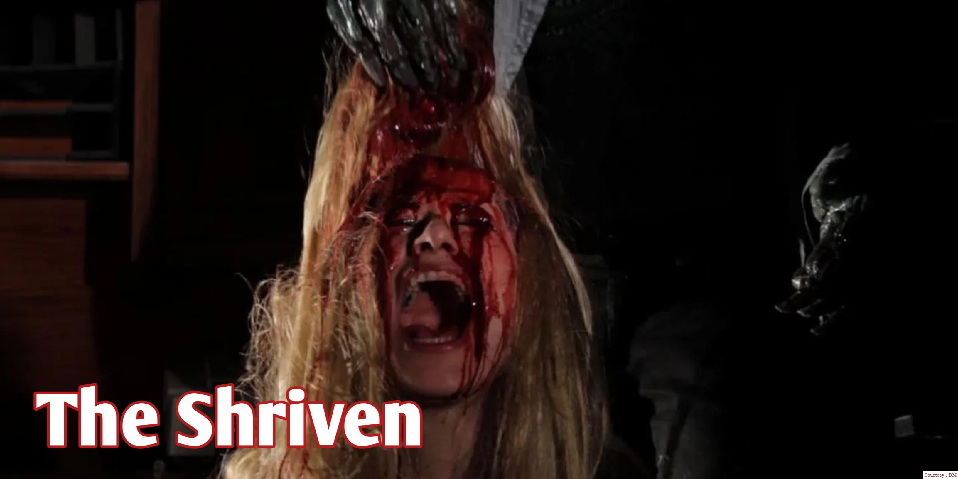 Watch Free  The Shriven Full Movie Online