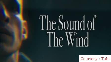 The Sound of the Wind