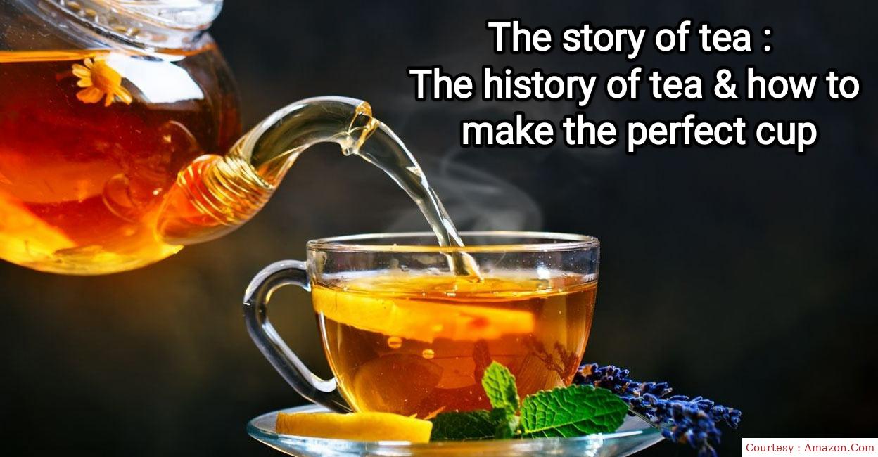 Where to Watch Free  The Story of Tea: The History of Tea & How to Make the Perfect Cup Full Movie Online