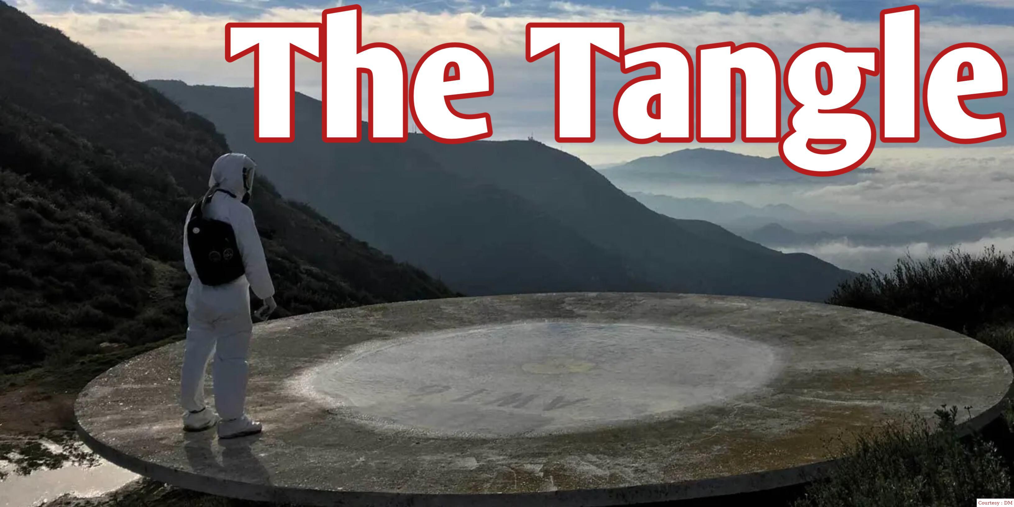 Watch Free  The Tangle Full Movie Online