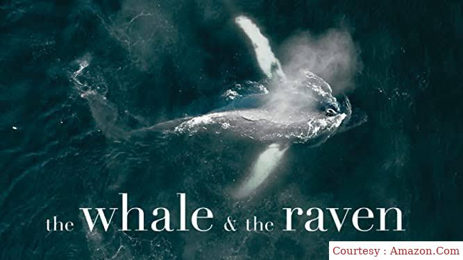 The Whale and the Raven 