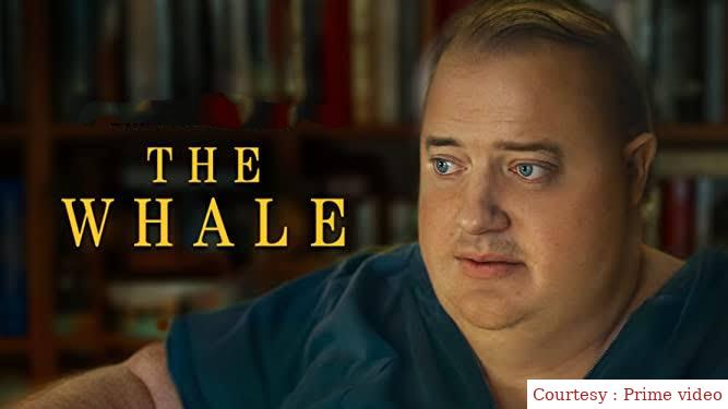 Watch Free  The Whale Full Movie Online