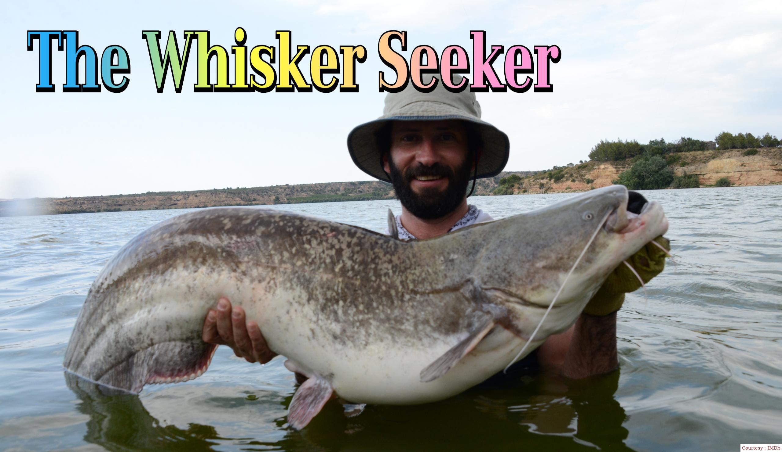 The Whisker Seeker