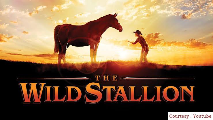 The Wild Stallion