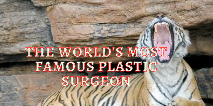 The World's Most Famous Plastic Surgeon