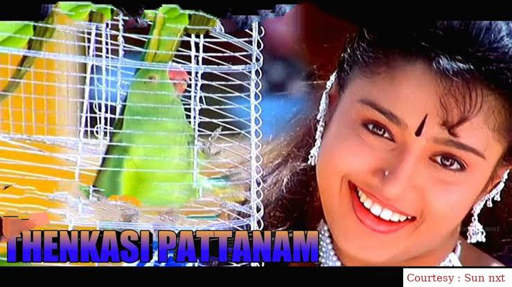 Thenkasi Pattanam