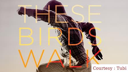 These Birds Walk