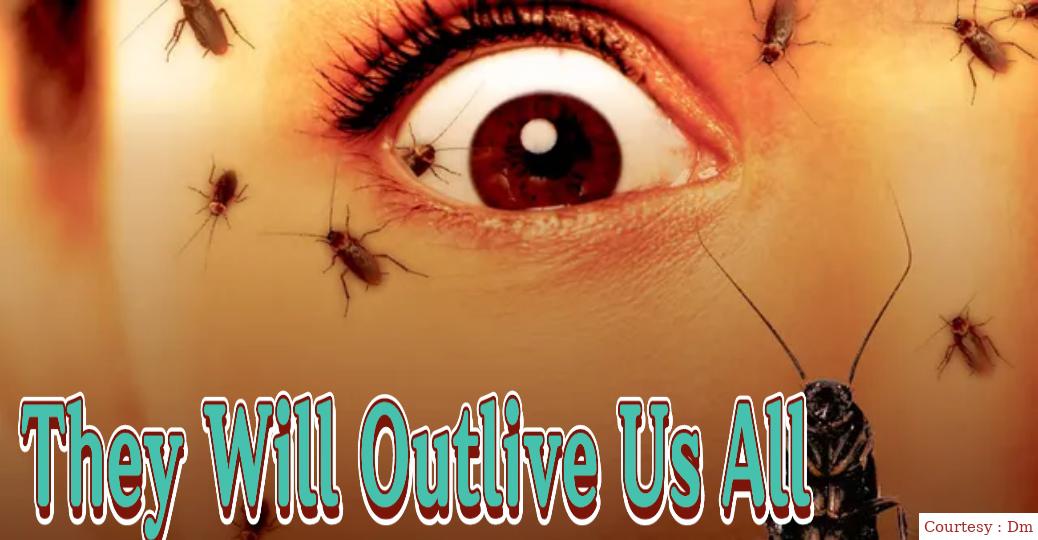 They Will Outlive Us All