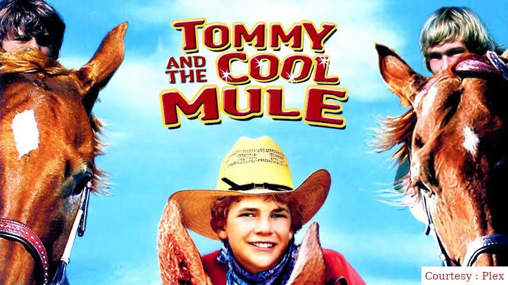 Tommy and the Cool Mule