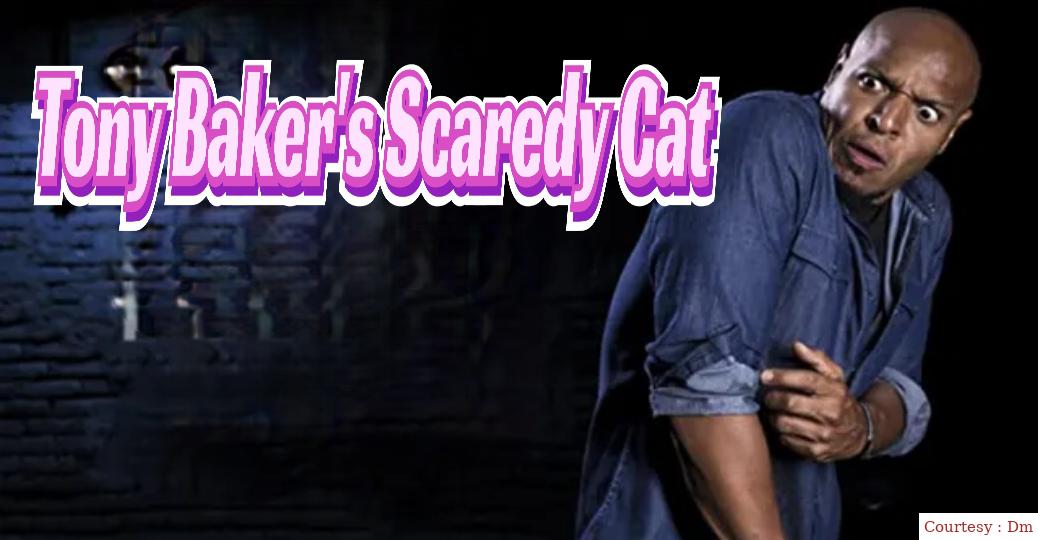 Tony Baker's Scaredy Cat
