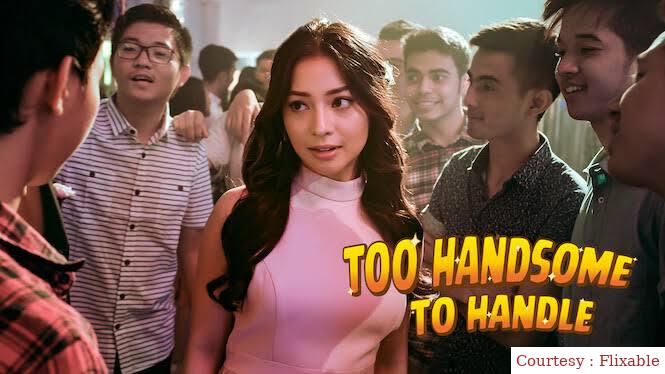 Watch Free  Too Handsome To Handle Full Movie Online