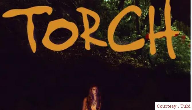 Watch Free  Torch Full Movie Online