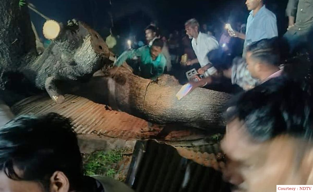 Tree uproot results in 7 dead and 5 injure in Maharashtra