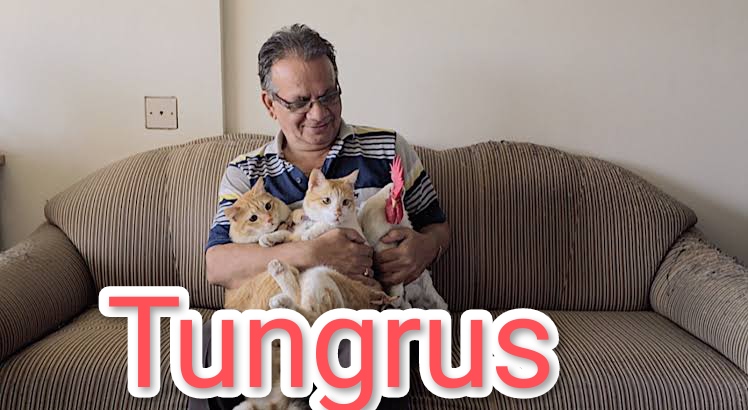 Tungrus