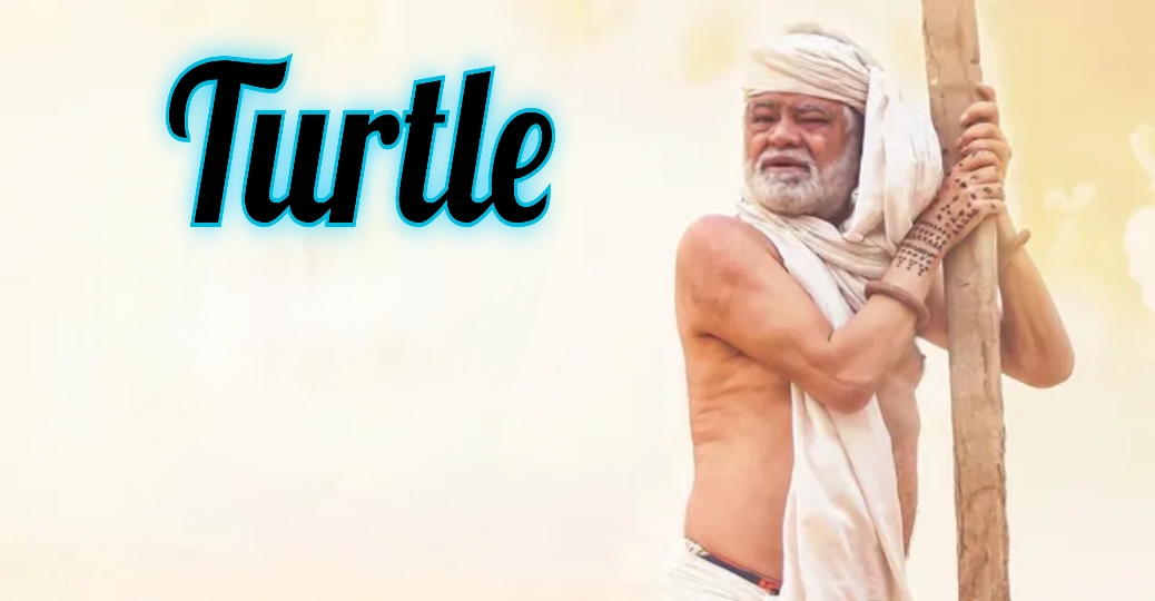 Turtle
