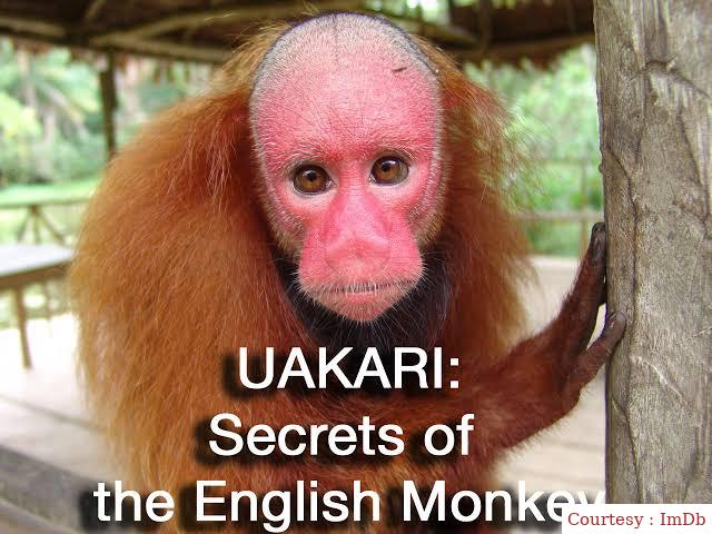 Watch Free  Uakari: Secrets of the English Monkey Full Movie Online
