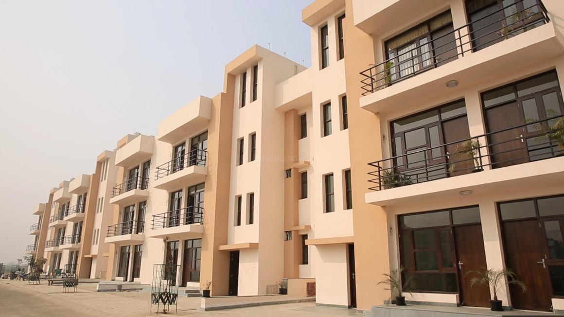 Sales Team 2&3 BHK Wave Floors in Wave City, Ghaziabad