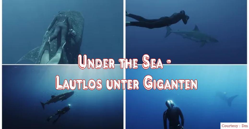 Under the Sea - Lautlos unter Giganten