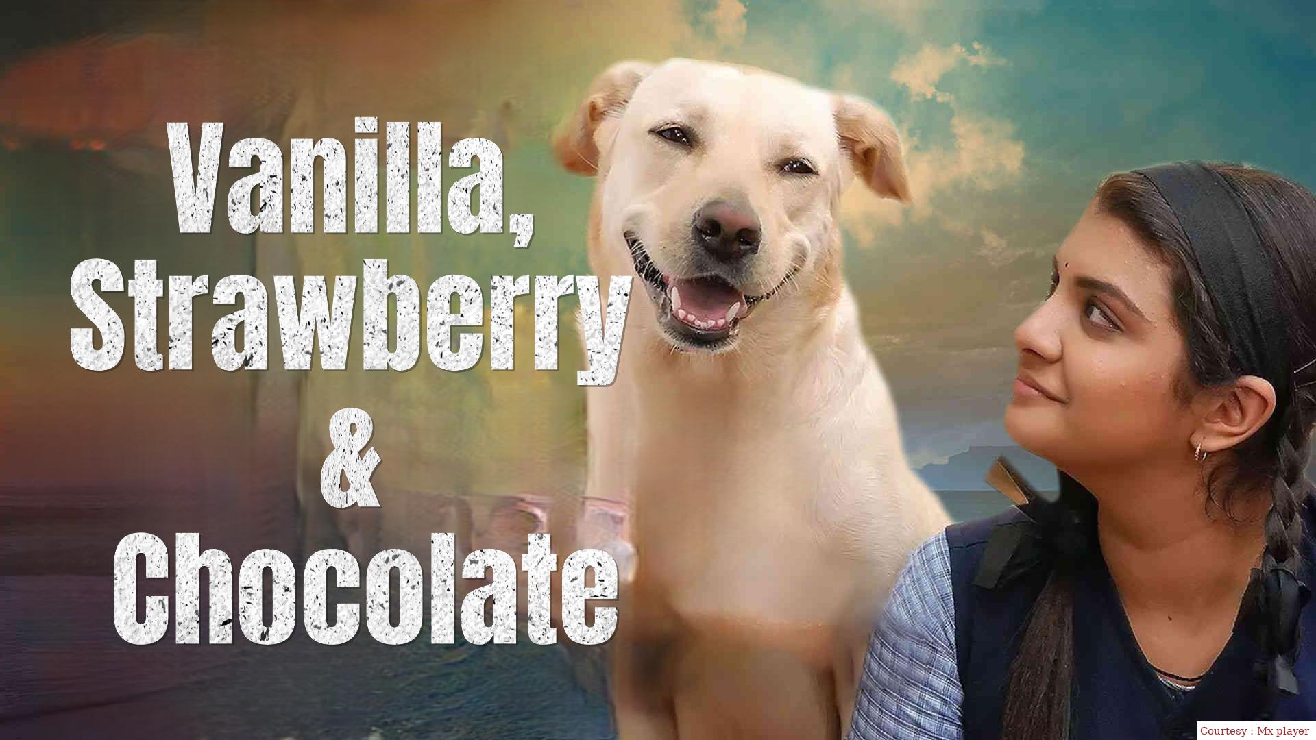 Vanilla, Strawberry & Chocolate 