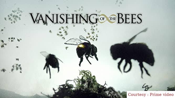Vanishing of the Bees