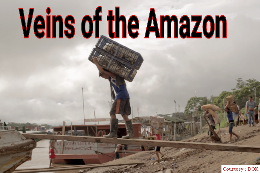 Veins of the Amazon