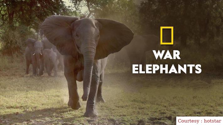 War Elephants