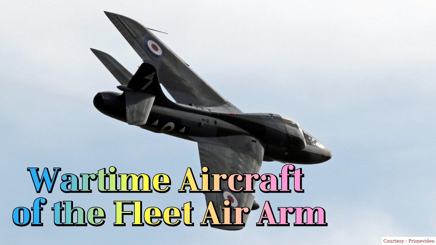 Watch Free  Wartime Aircraft of the Fleet Air Arm Full Movie Online