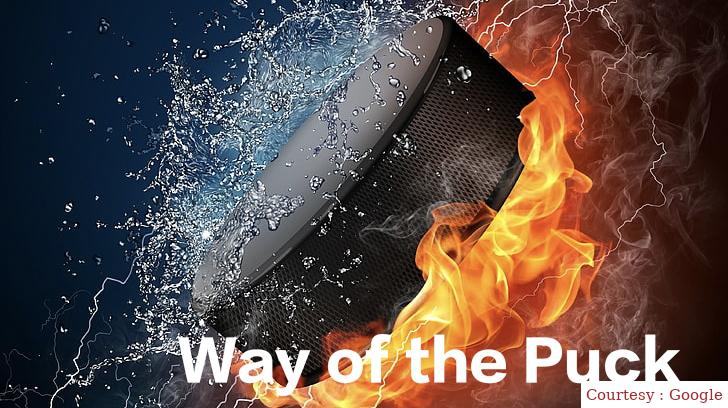 Way of the Puck 
