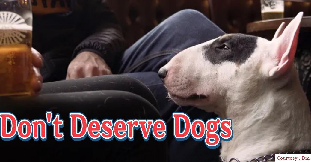 We Don't Deserve Dogs