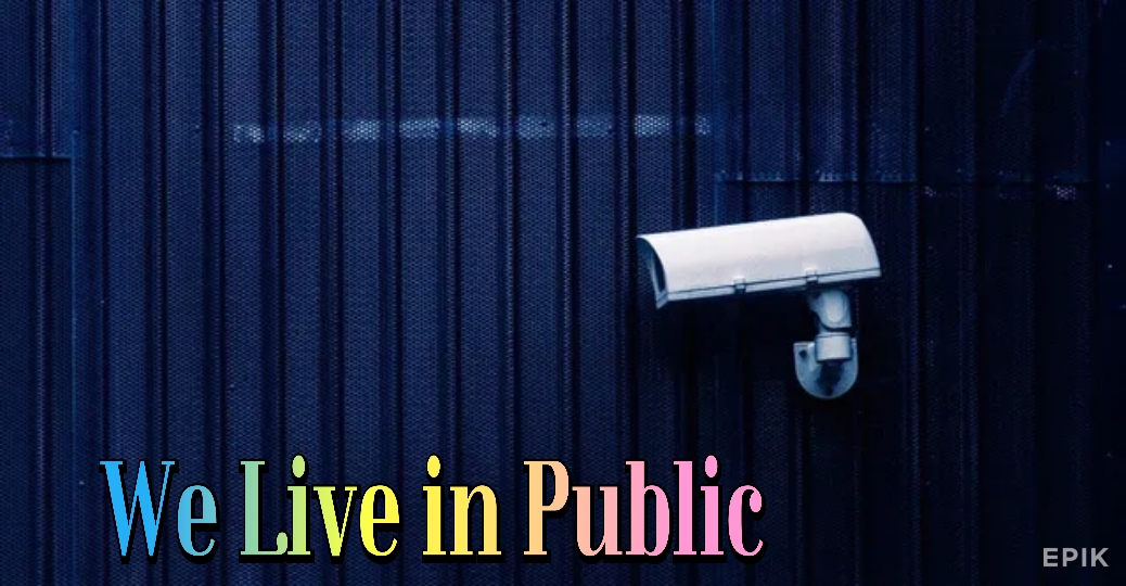 Watch Free We Live in Public Full Movie Online